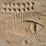 Al-Jassasiya Rock Carvings