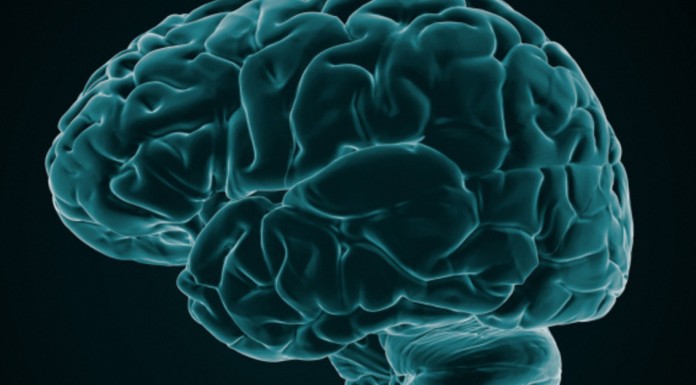 Rest Your Brain