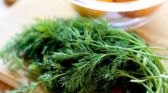 Benefits of Dill