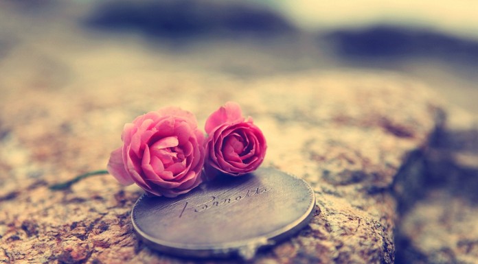 If you’re in love