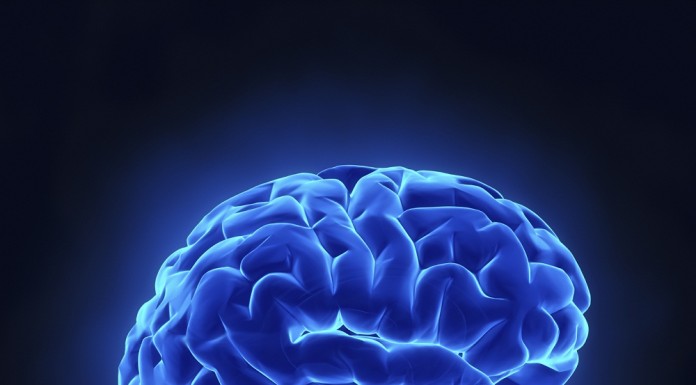 Top 10 Most Intelligent People