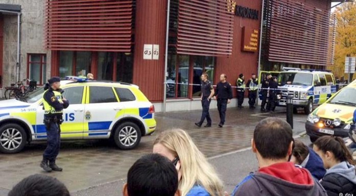 Sweden school killer fueled