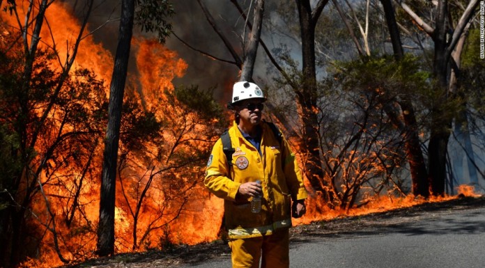 Australian bushfires destroy