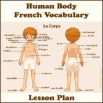Human-Body-French