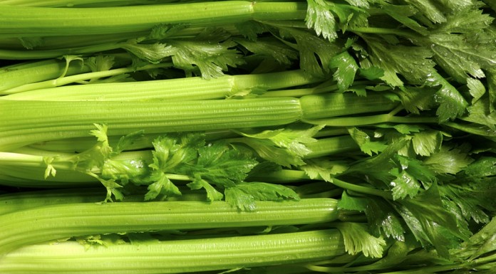 Health Benefits of Celery