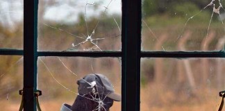 'Search And Rescue' As Shebab Claims 100 Killed