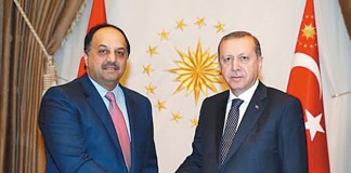 Defence minister meets Turkish president