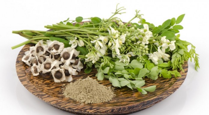 Health Benefits of Moringa Oleifera