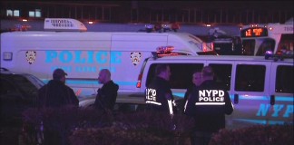 Two NYPD officers shot in the Bronx