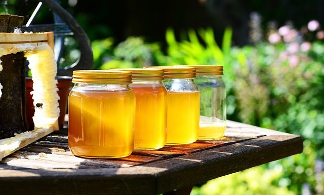 Real Honey or Fake Honey Real Honey or Fake Honey