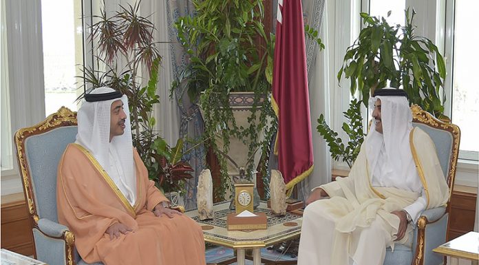 Emir Meets Foreign Minister of UAE
