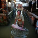 A woman cries as she holds body of a dead pig at a flooded farm in Xiaogan