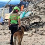 Earthquake leaves at least 21 dead in centralItaly