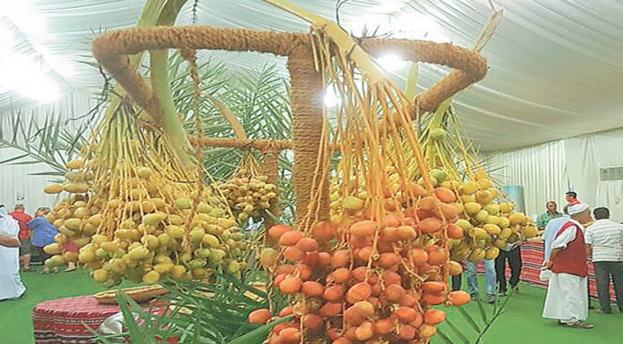 Local Dates Festival sees 55,000 visitors Local Dates Festival sees 55,000 visitors