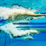 doha 2015 final swimming world cup day