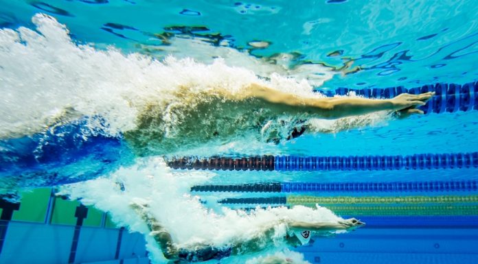 Young Qatar swimmers set to make a splash at FINA World Cup in Doha doha 2015 final swimming world cup day