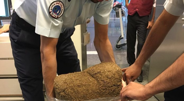 Qatar customs officials seize 28kg of marijuana, 1,500 Tramadol tablets Qatar customs officials foil attempt to smuggle 20kg of marijuana through HIA