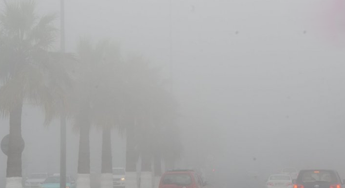 9 tips to motorists for safe driving under heavy foggy conditions in qatar