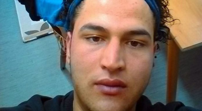 Berlin truck attack suspect travelled on train from Lyon
