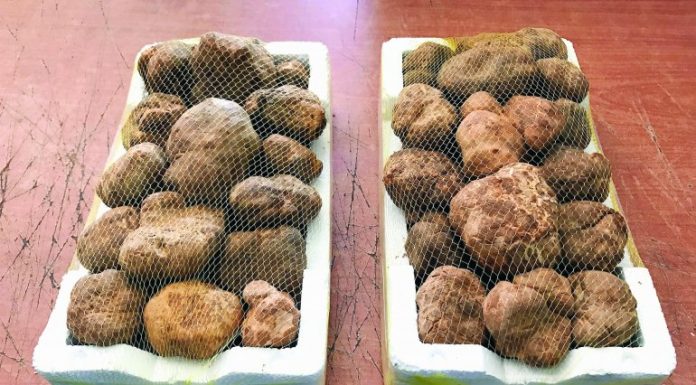 Fagga being sold like hot cakes in qatari markets