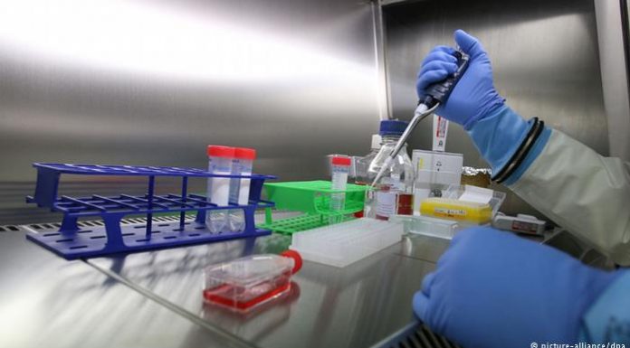 Top ten most dangerous viruses in the world