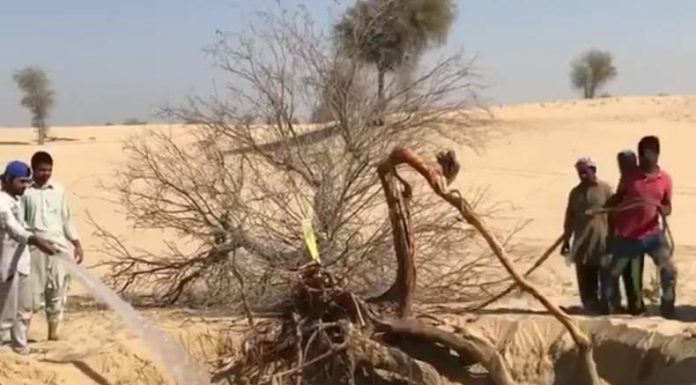 UAE STORM: SHEIKH HAMDAN THANKS DUBAI WORKERS