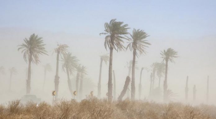Strong winds and dusty weather expected over the weekend