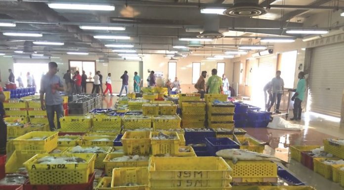 Vendors at the new fish market at Umm Salai urges for more facilities