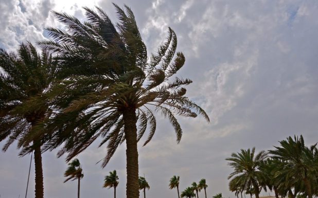 Strong winds to blow through Doha this week