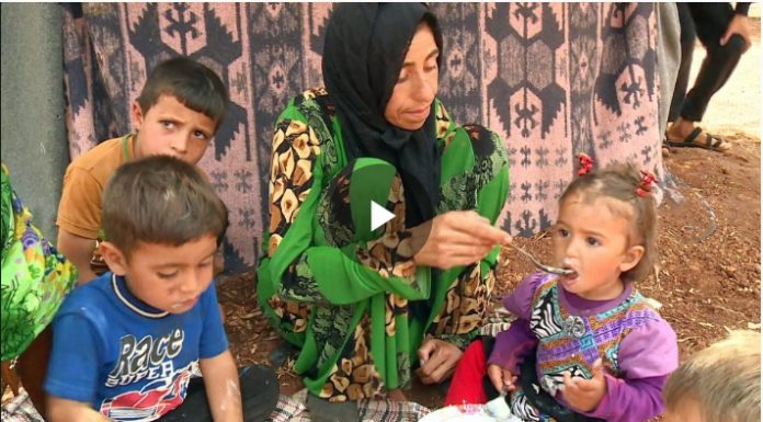 Syria’s war: Displaced and hungry in Idlib makeshift camp