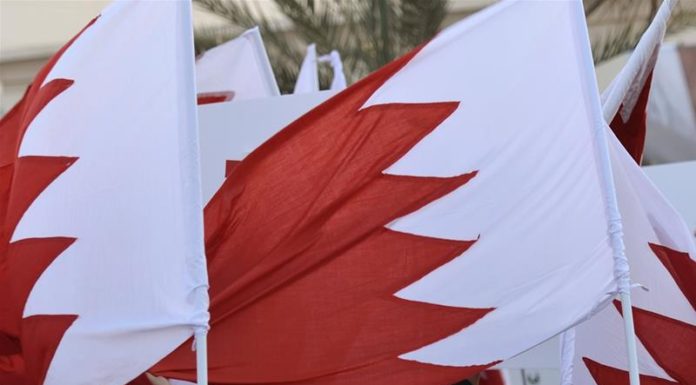 Bahrain executes 2 in ‘terror’ case despite rights groups’ pleas