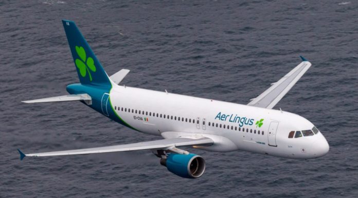 Man Sentenced to Two Months in Prison for Causing Coronavirus “Pandemonium” on Aer Lingus Flight