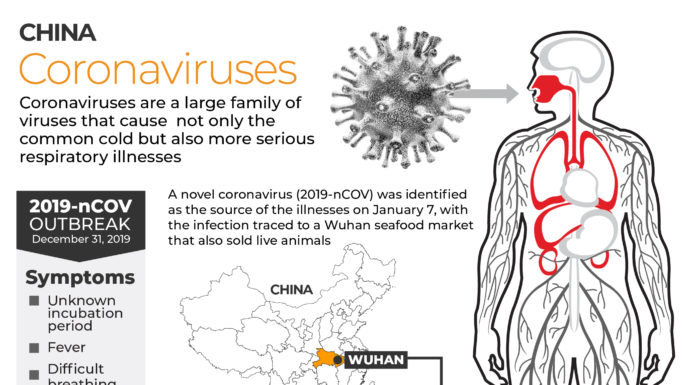 Coronavirus: Which countries have confirmed cases?
