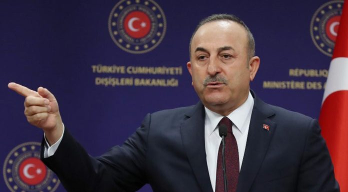 Turkey dismisses Egypt’s call for ceasefire in Libya as attempt to save Haftar