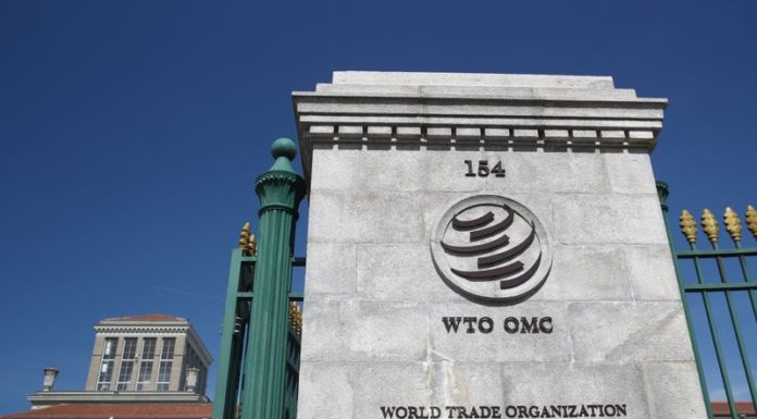 Factbox: Who’s bidding to be next World Trade Organization chief?