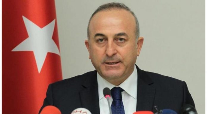 Ihsanoglu: Turkey is “very close” to the signing of the free trade agreement with Britain