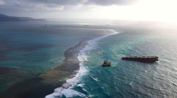 Mauritius arrests captain of Japanese oil spill ship