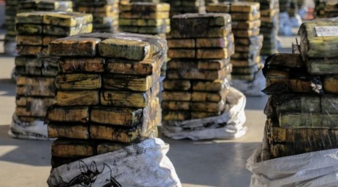 Cocaine worth $500m found hidden in charcoal shipment