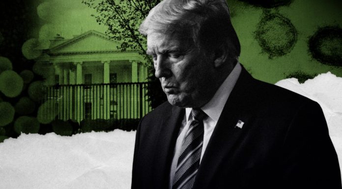 Trump backs down: I will accept a peaceful transfer of power in this case