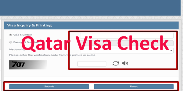 qatar visit visa current status