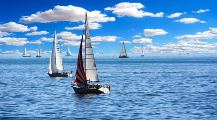Top 12 activities you must try in Qatar