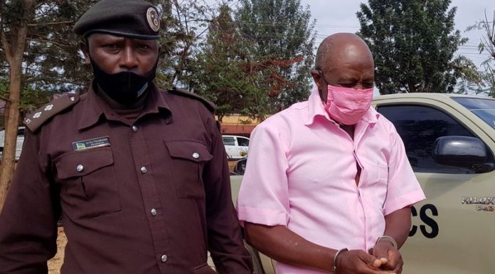 Trial of ‘Hotel Rwanda hero’ set to begin amid family’s fears of injustice