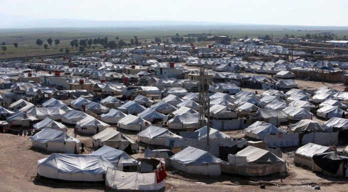 Kurdish-led campaign under way to rid al-Hol camp of IS