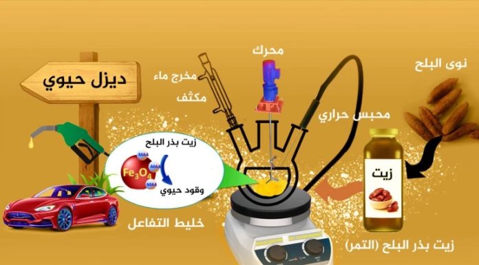 Al-Jazeera stands for the new discovery … the conversion of date seeds into diesel fuel