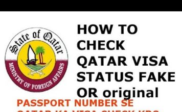 Walk-Through on How to Check your Qatar Visa Online(latest update for all type visas Qatar)
