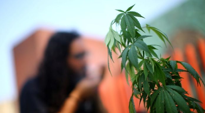 Mexico’s landmark cannabis bill one step closer to becoming law