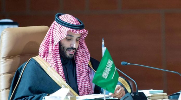 Saudi Crown Prince discusses Green Initiative with Arab leaders