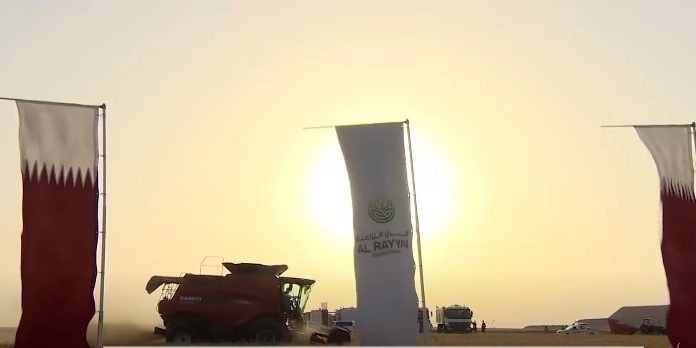For the first time, Qatar produces 5 thousand tons of “yellow gold” in 2021