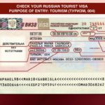 Check-Russian-visa-data