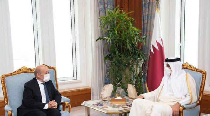 His Highness receives the French Foreign Minister